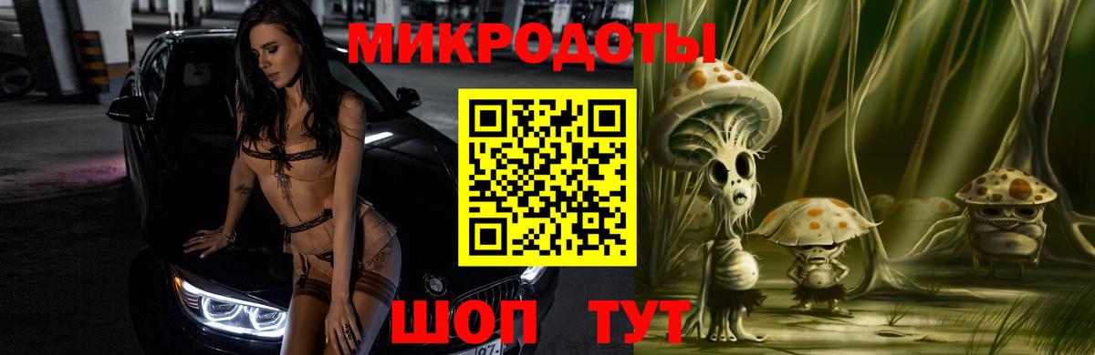 Псилоцибиновые грибы Psilocybine cubensis Златоуст